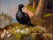 Black Grouses 1864 Ferdinand von Wright